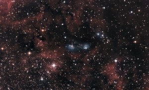 NGC 6914 10" Newton                                  
